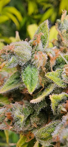 Growreport Bild 18