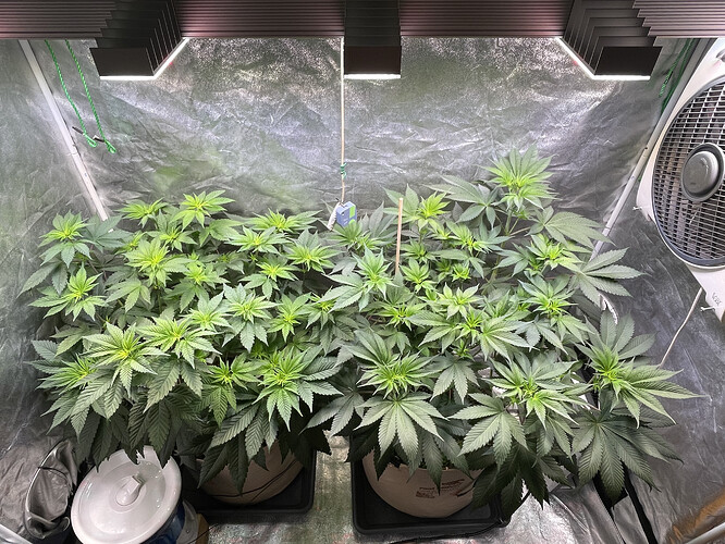 Growreport Bild 1