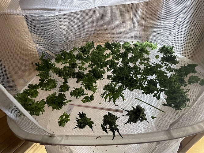 Growreport Bild 7