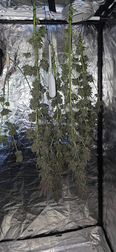 Growreport Bild 85