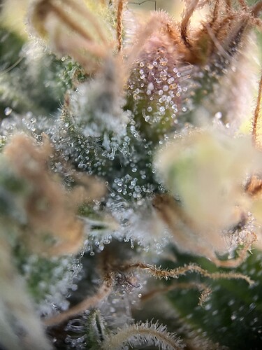 Growreport Bild 18