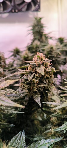 Growreport Bild 16