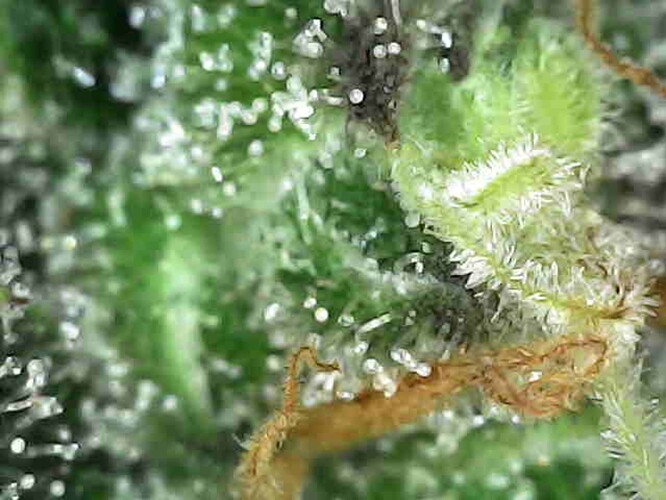 Photo_2025-04-13 15_50_42_191