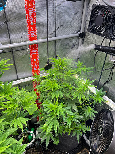 Growreport Bild 2