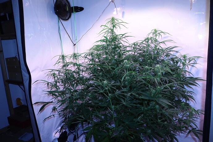 Growreport Bild 12