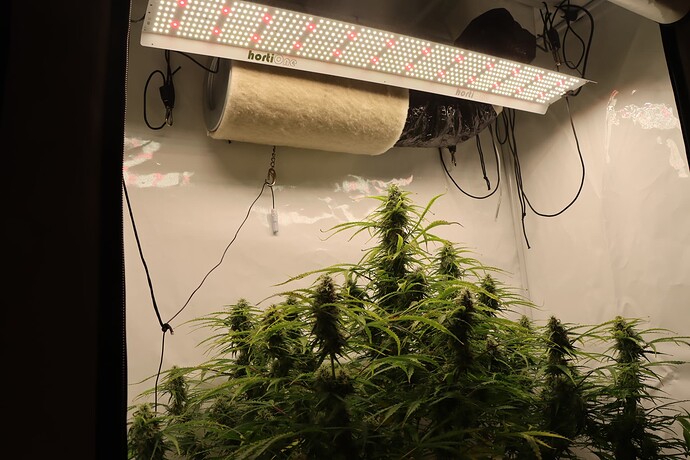Growreport Bild 8