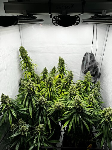 Growreport Bild 6