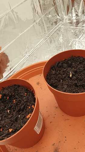 WhatsApp Bild 2024-04-16 um 10.55.37_a3486c75