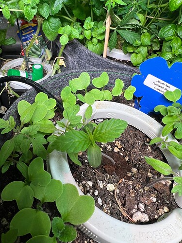 Growreport Bild 10