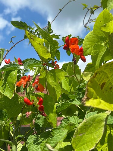 Growreport Bild 20