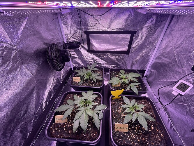 Growreport Bild 25