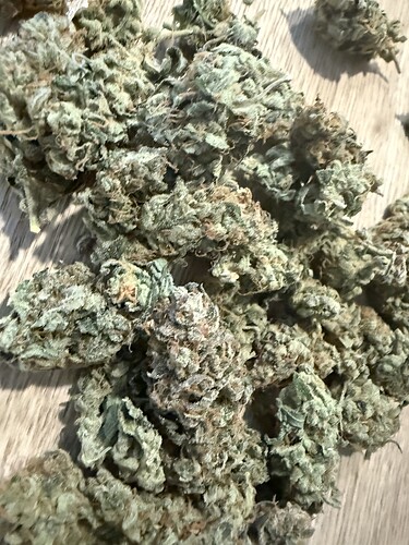 Growreport Bild 8