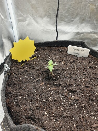 Growreport Bild 9
