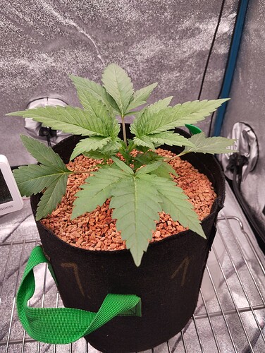 Growreport Bild 16
