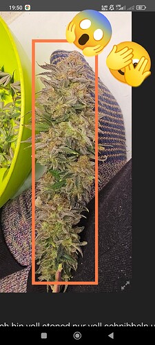 Screenshot_2024-11-24-19-50-55-577_com.android.chrome-edit