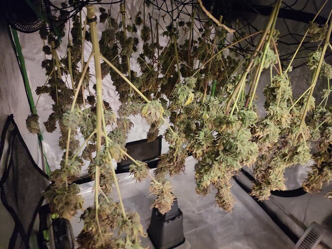 Growreport Bild 154