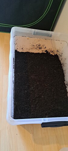 Growreport Bild 11
