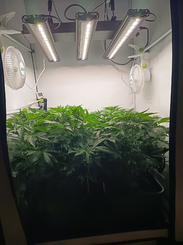 Growreport Bild 7