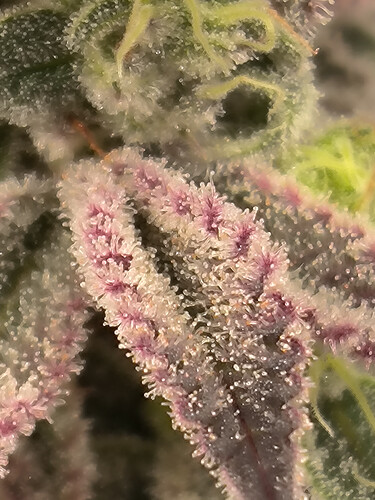 Growreport Bild 18