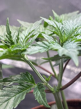 Growreport Bild 6