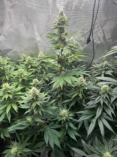 Growreport Bild 10