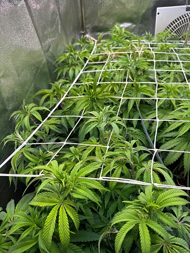 Growreport Bild 13