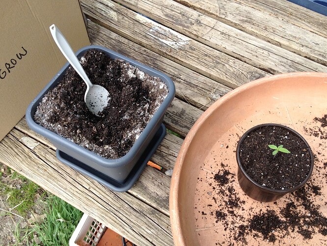 Growreport Bild 26