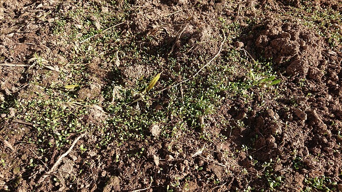 Growreport Bild 2
