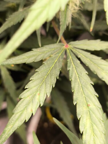 Growreport Bild 11