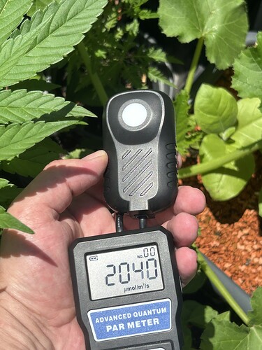 Growreport Bild 35