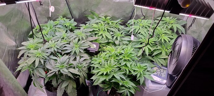 Growreport Bild 21