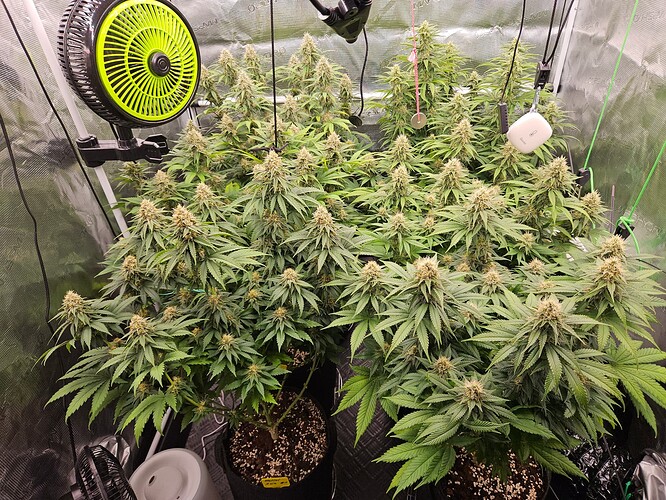 Growreport Bild 1