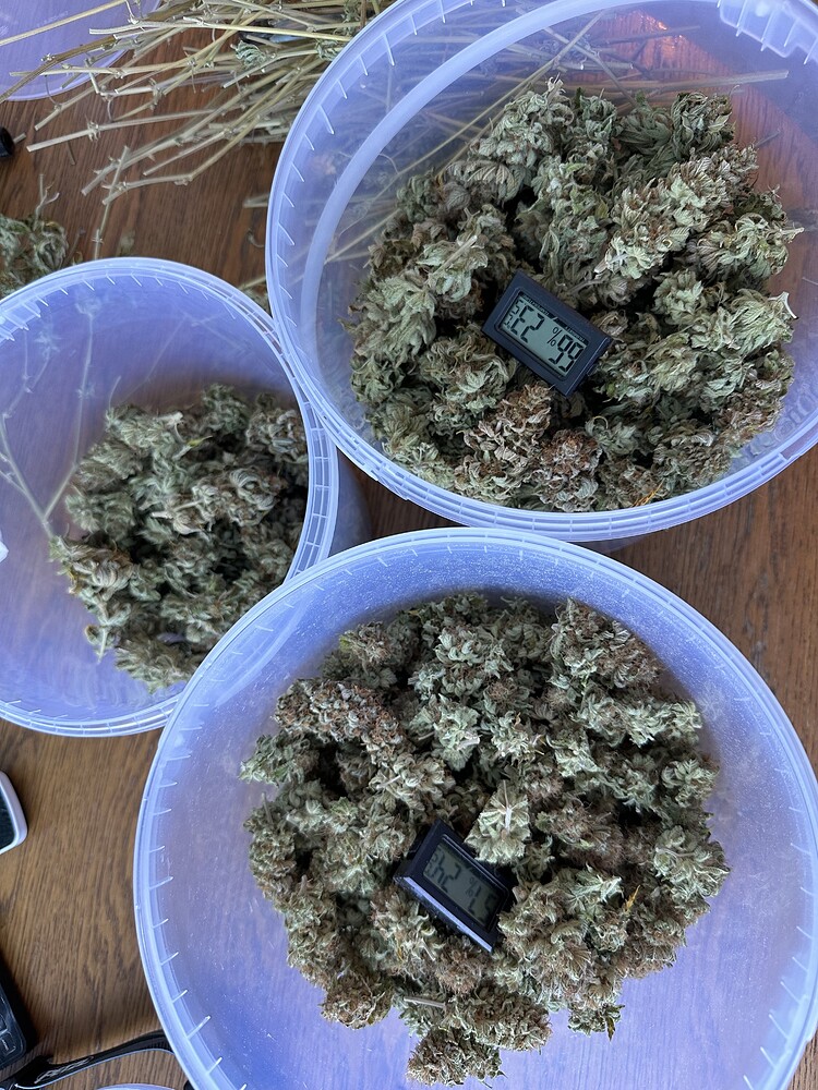 1st Grow indoor / 90x90x180 / 2x Critical Kush Barney's, 2x GG#4 Zamnesia (Equipment für 01.04.?:))