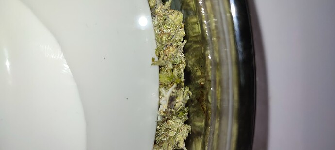 Growreport Bild 61