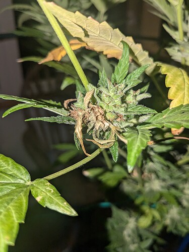 PXL_20240906_184003185