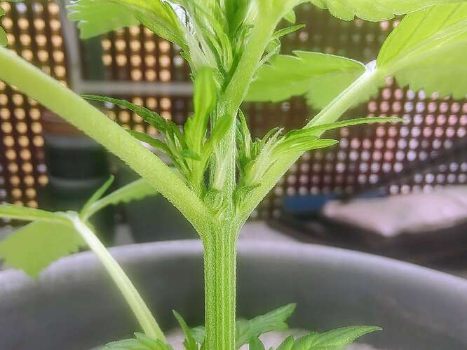 Growreport Bild 8