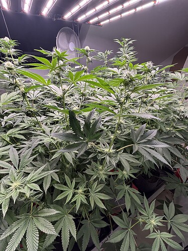 Growreport Bild 23