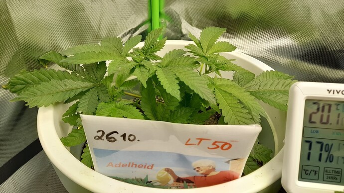 Growreport Bild 2
