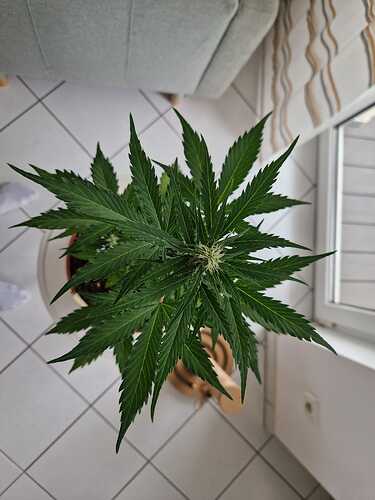 WhatsApp Image 2024-05-22 at 17.48.40 (3)