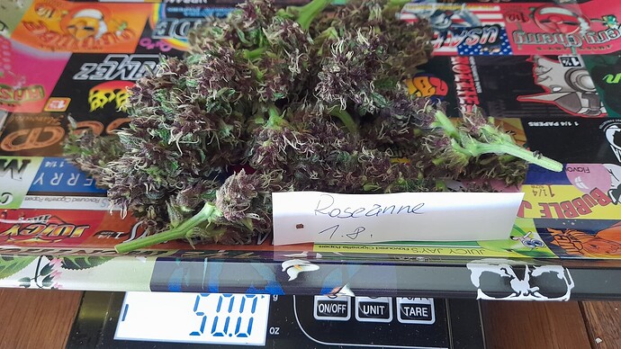 Growreport Bild 26