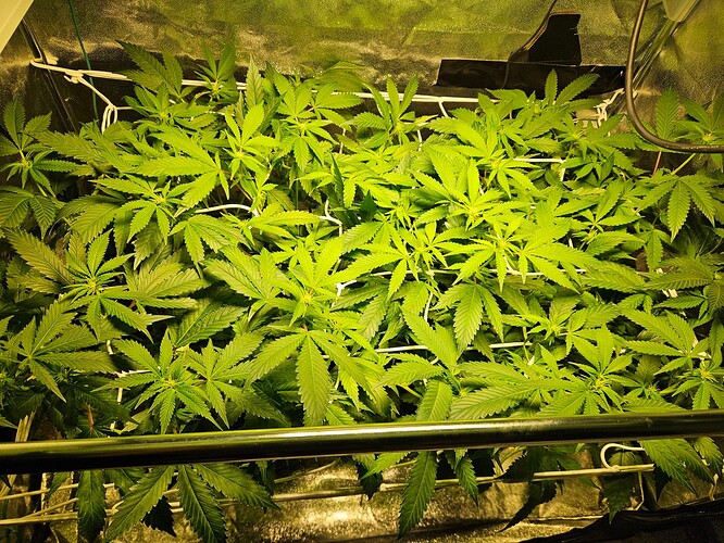Growreport Bild 10