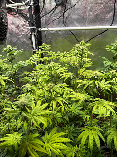 Growreport Bild 23