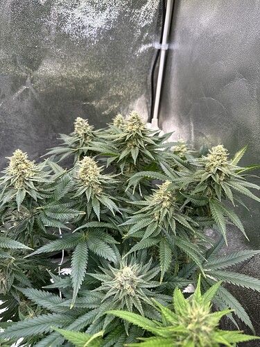 Growreport Bild 18