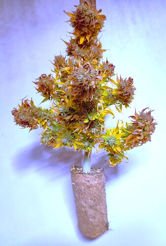 Growreport Bild 56