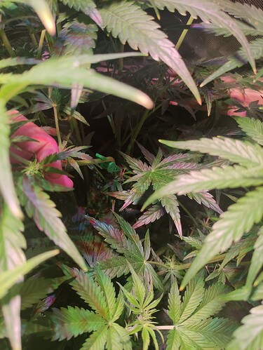 Growreport Bild 20