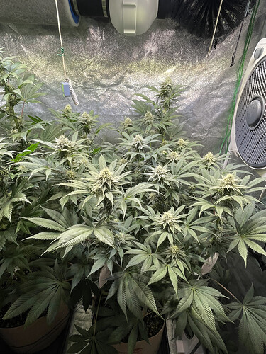 Growreport Bild 2