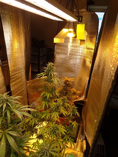 Growreport Bild 6