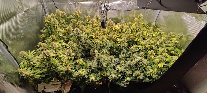 Growreport Bild 8
