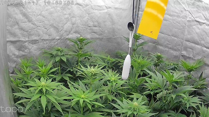Growreport Bild 20