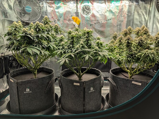 Growreport Bild 22